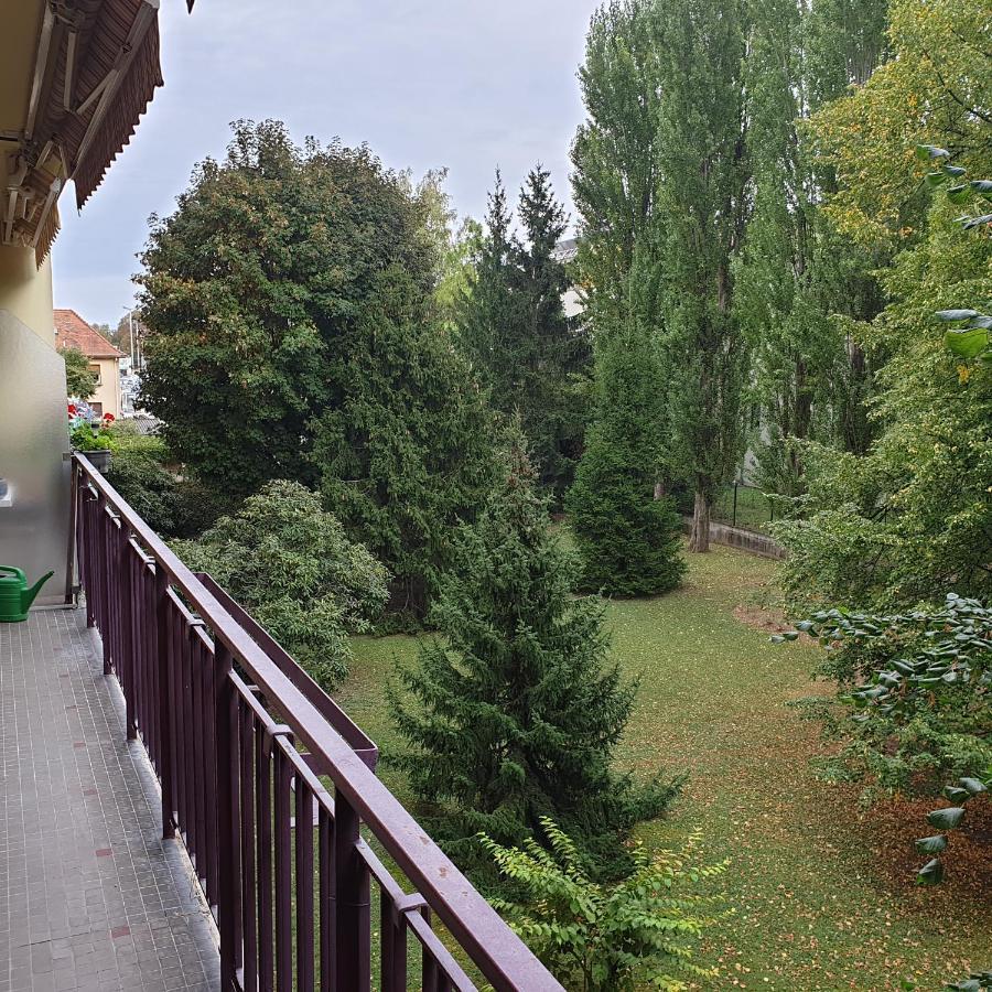 Cote Parc Apartment Schiltigheim Bagian luar foto