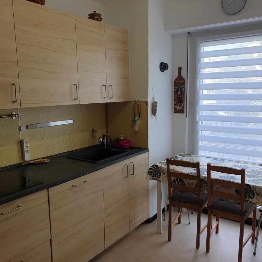 Cote Parc Apartment Schiltigheim Bagian luar foto
