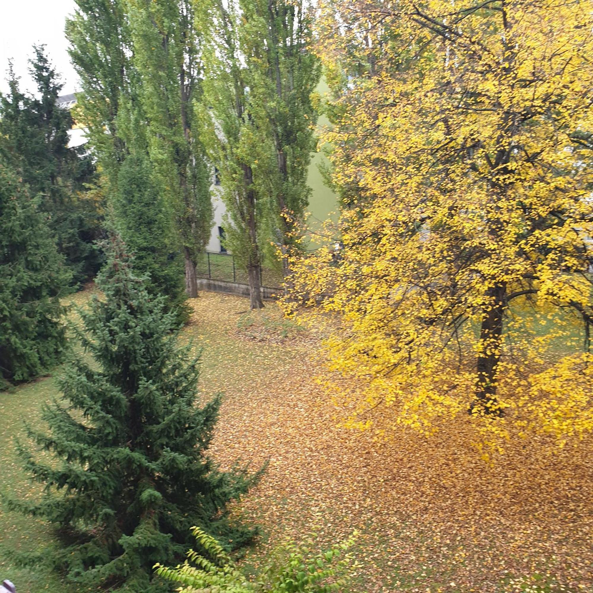 Cote Parc Apartment Schiltigheim Bagian luar foto